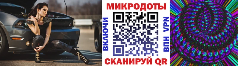 что такое   Онега  Галлюциногенные грибы Psilocybe 